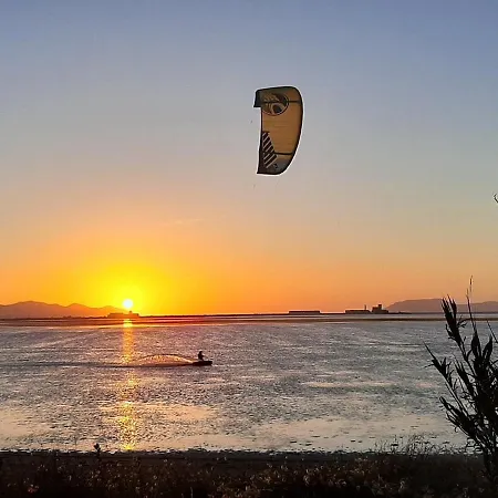 Mario Kite